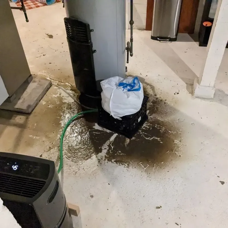 Sewage Backup Cleanup Service in Oak Hills, CA